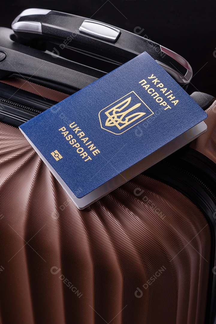 Passaporte internacional de um cidadão mala