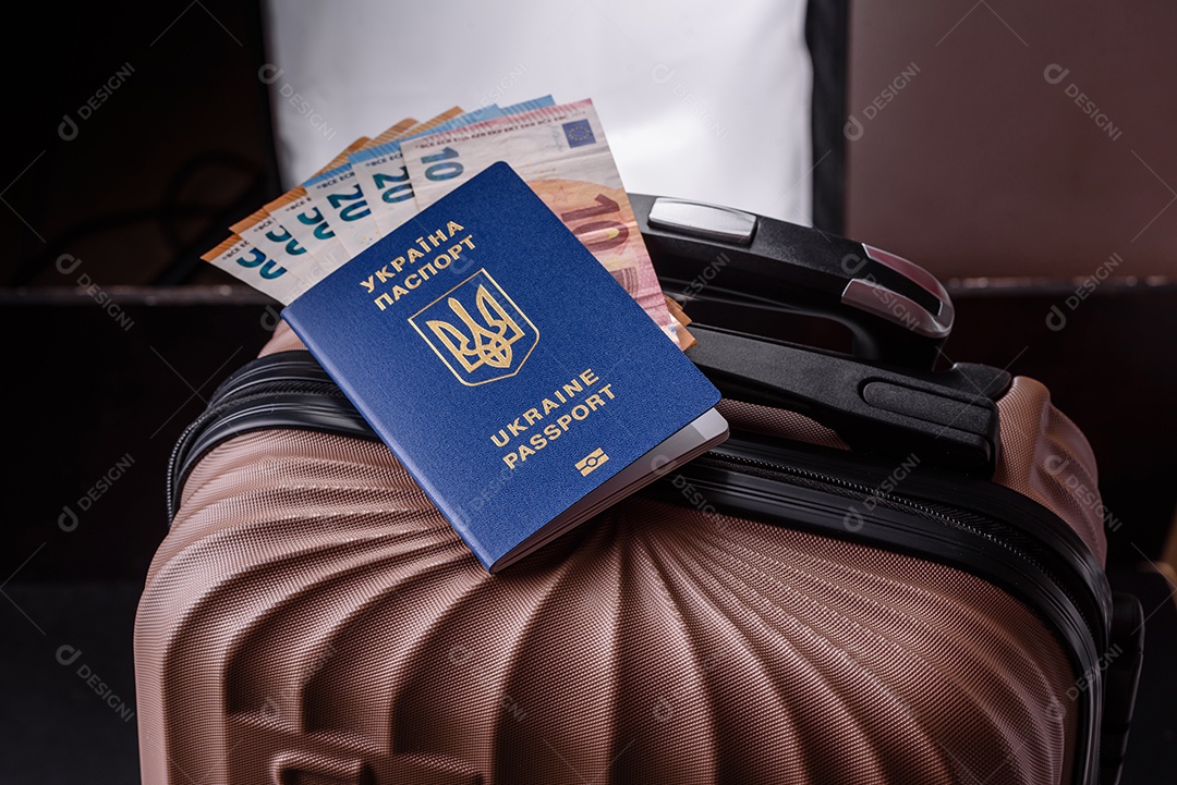 Passaporte internacional de um cidadão mala