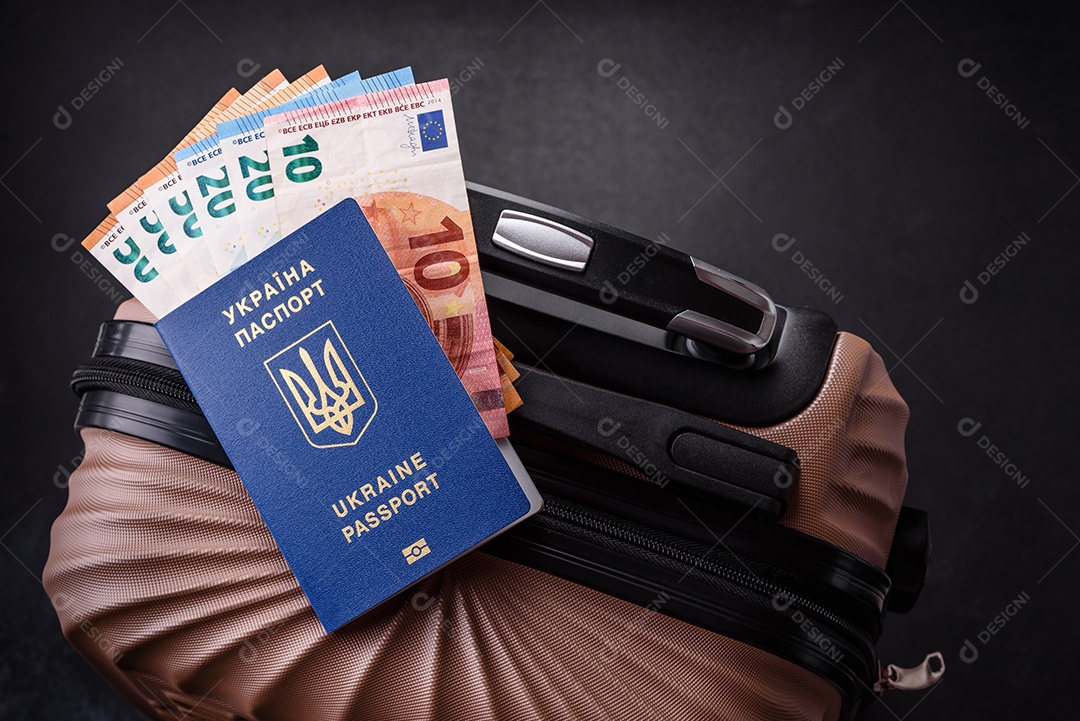 Passaporte internacional de um cidadão mala