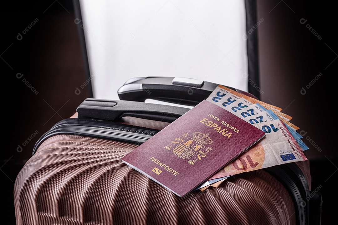 Passaporte internacional de um cidadão mala