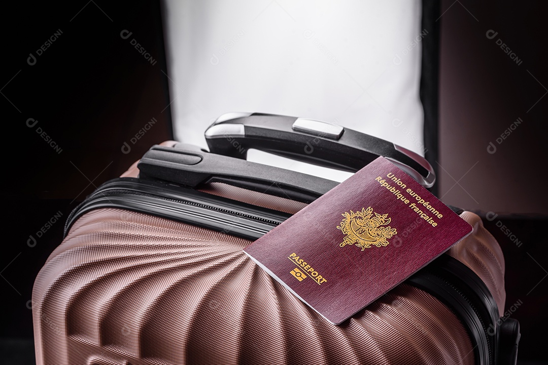 Passaporte internacional de um cidadão mala