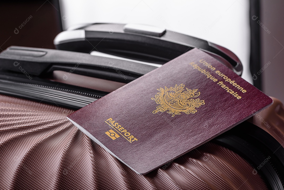 Passaporte internacional de um cidadão mala