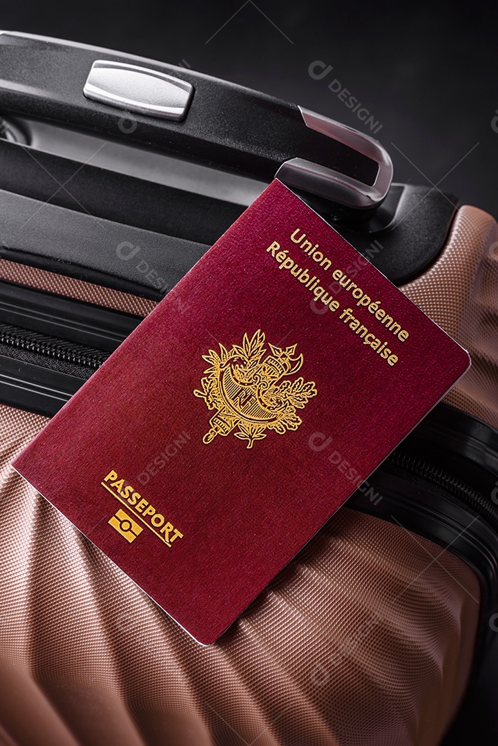 Passaporte internacional de um cidadão mala