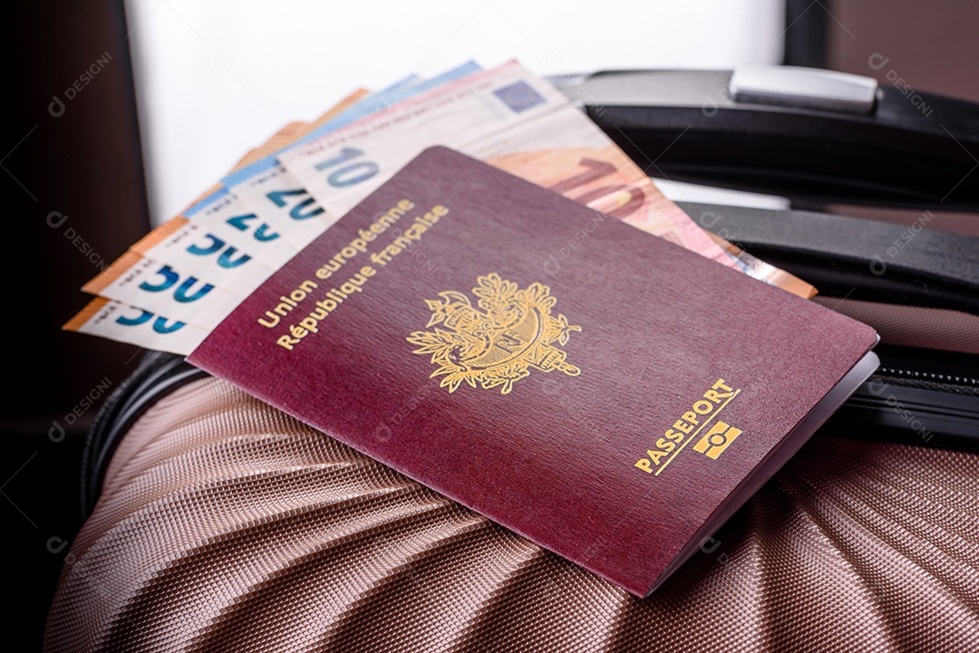 Passaporte internacional de um cidadão mala