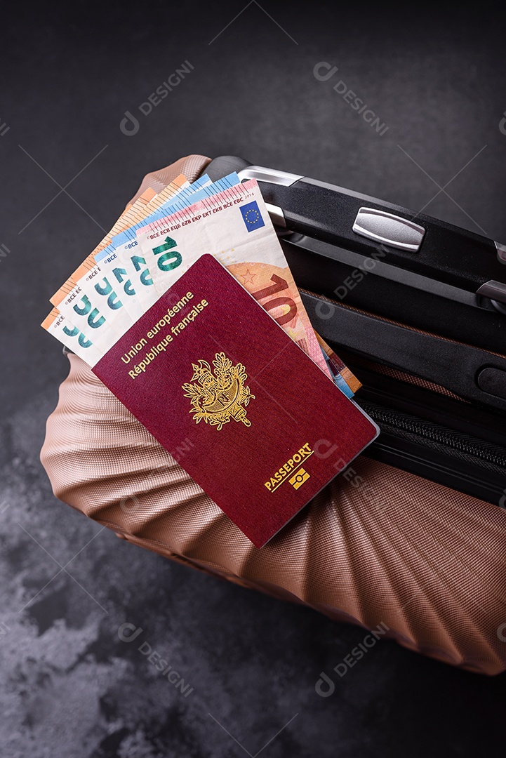 Passaporte internacional de um cidadão mala