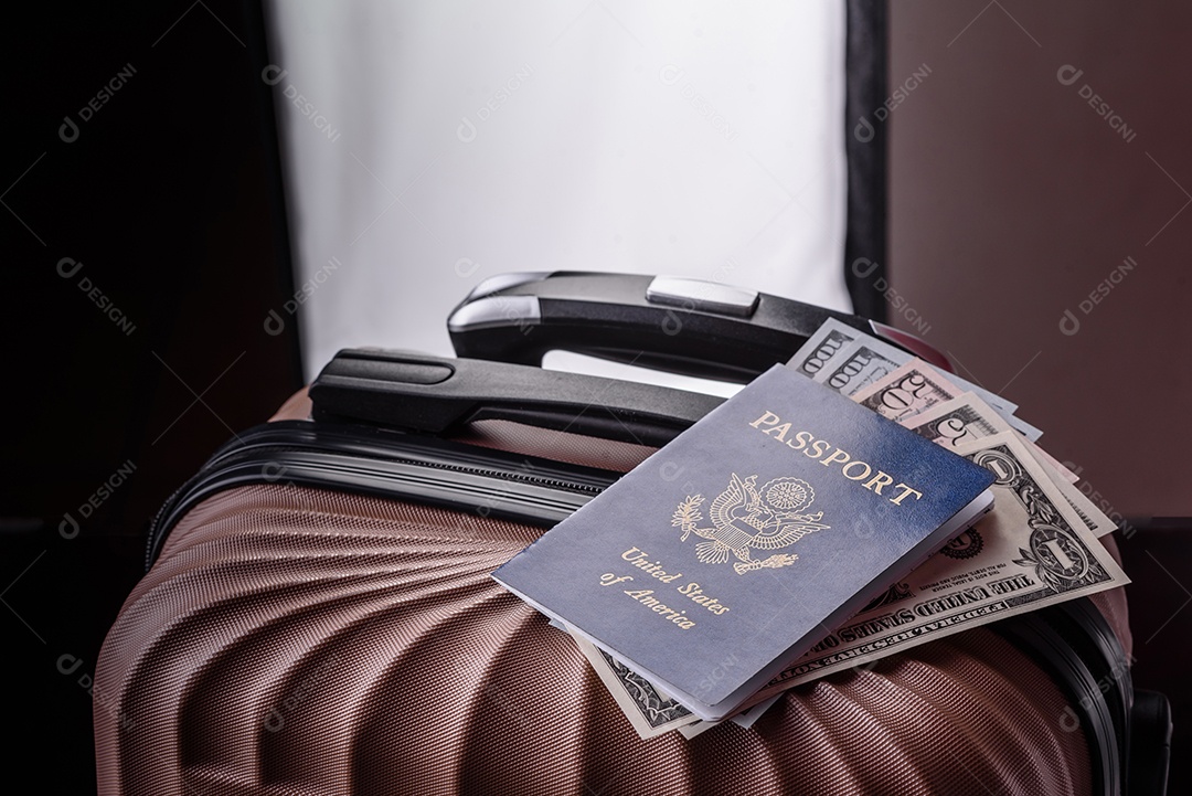 Passaporte internacional de um cidadão mala