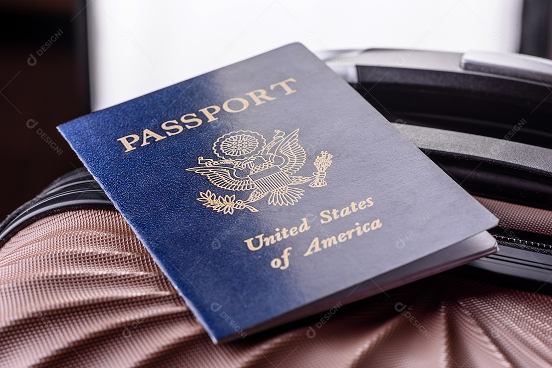 Passaporte internacional de um cidadão mala