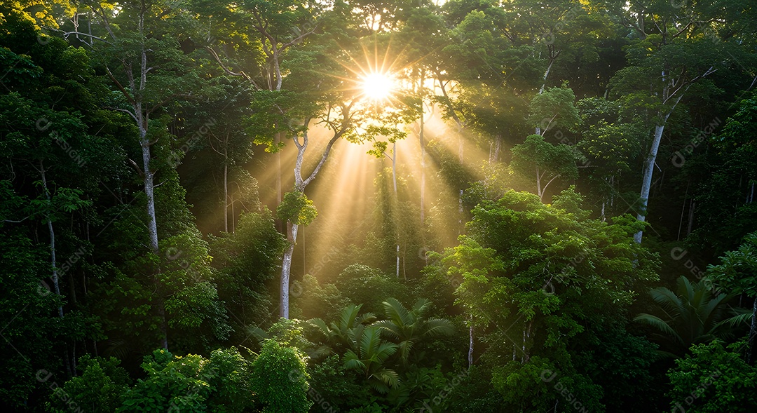 Retrato realista de uma linda floresta