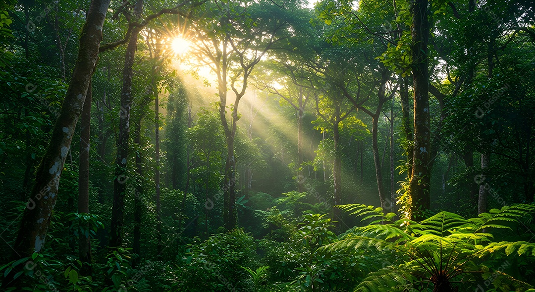 Retrato realista de uma linda floresta