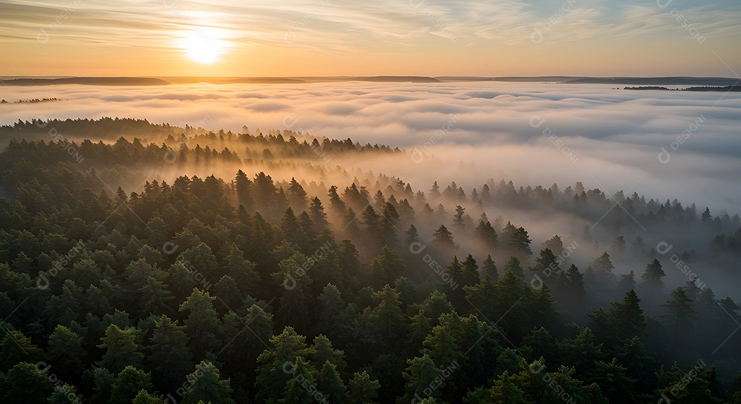 Linda vista aérea realista de uma floresta