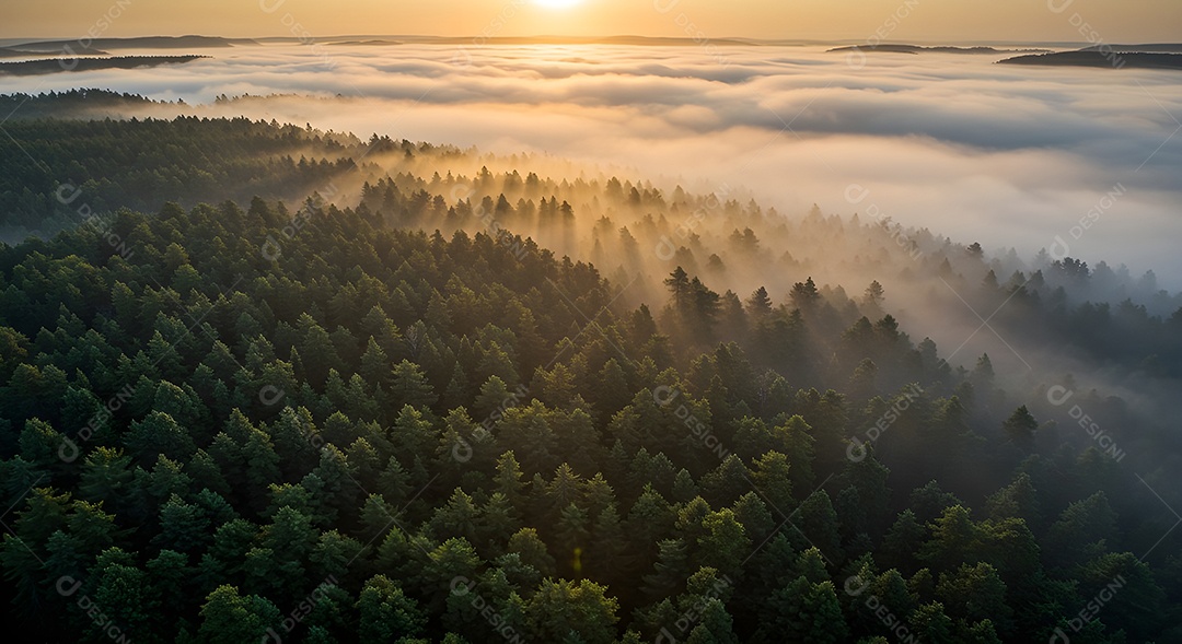 Linda vista aérea realista de uma floresta