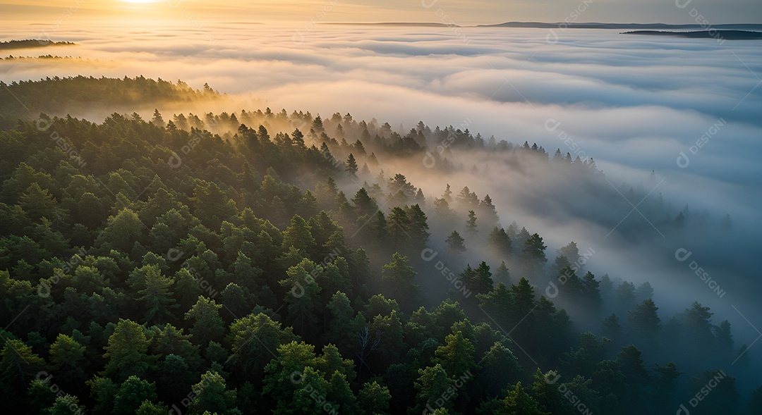 Linda vista aérea realista de uma floresta