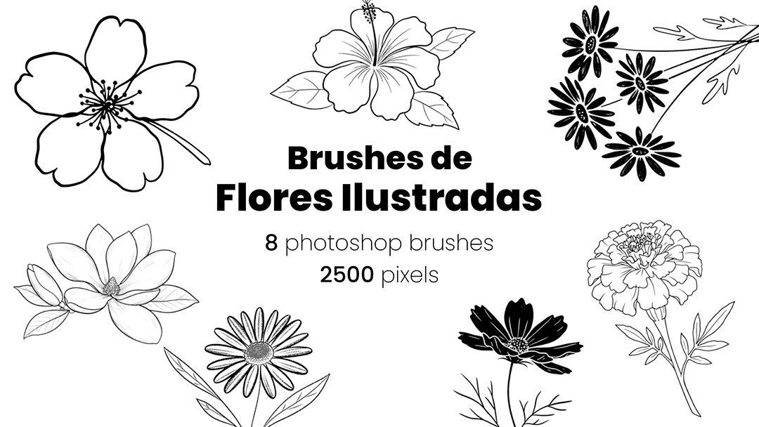 Flores Brush ABR