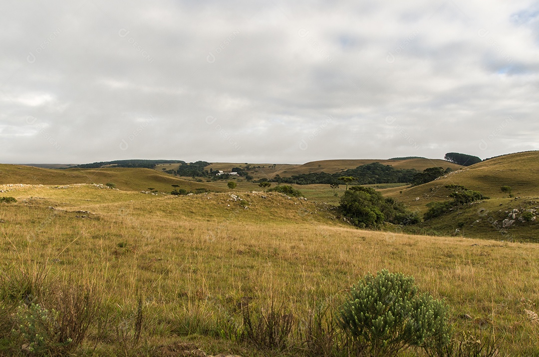 Retrato mostra um caminho de terra que serpenteia por colinas cobertas de vegetação