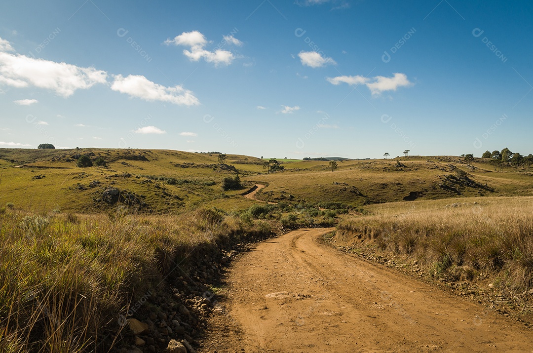 Retrato mostra um caminho de terra que serpenteia por colinas cobertas de vegetação