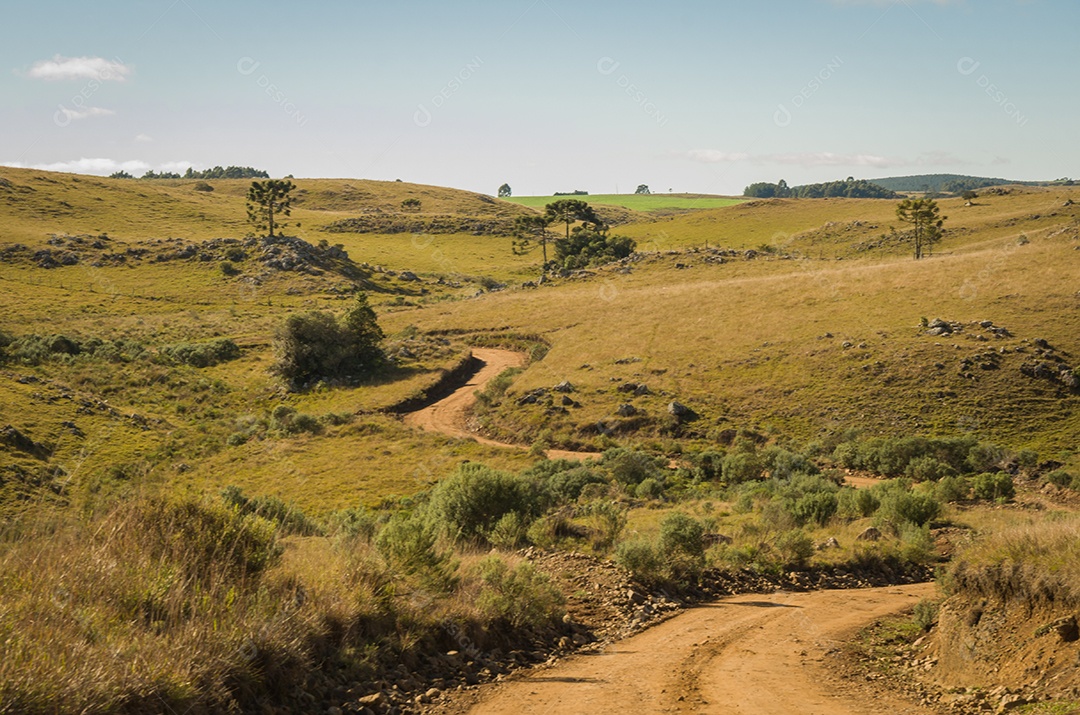 Retrato mostra um caminho de terra que serpenteia por colinas cobertas de vegetação
