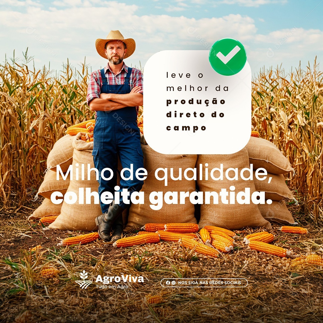 Agropecuária Milho de Qualidade Social Media PSD Editável