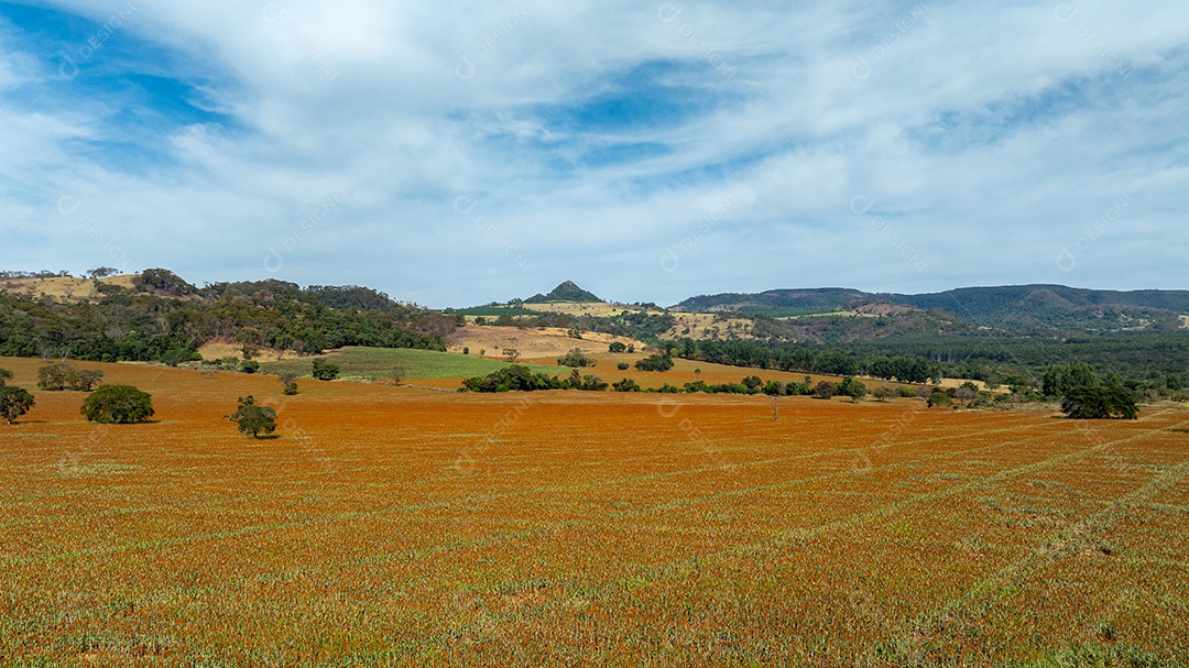 Fazenda ampla com montanhas ao fundo e céu limpo Imagem JPG