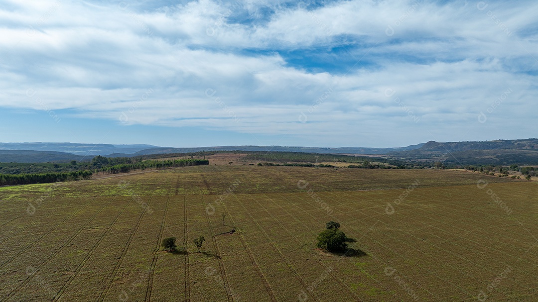 Área de fazenda com vegetação rasteira e solo marrom Imagem JPG
