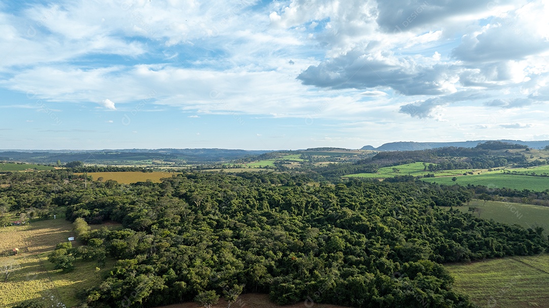 Fotografia aérea de mata densa com árvores verdes Imagem JPG