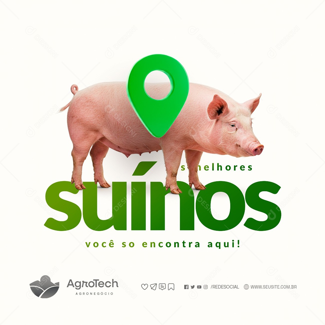Agropecuária Os Melhores Suínos Você Só Encontra Aqui Social Media PSD Editável