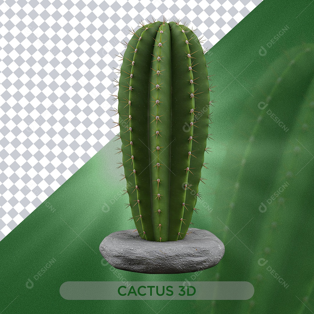 Cacto Elemento 3D Para Comosição PSD