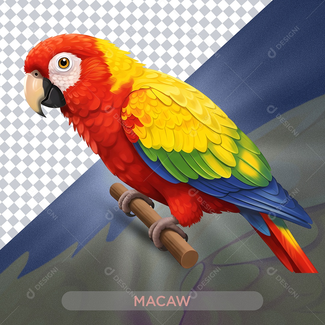 Papagaio Elemento 3D Para Comsição PSD