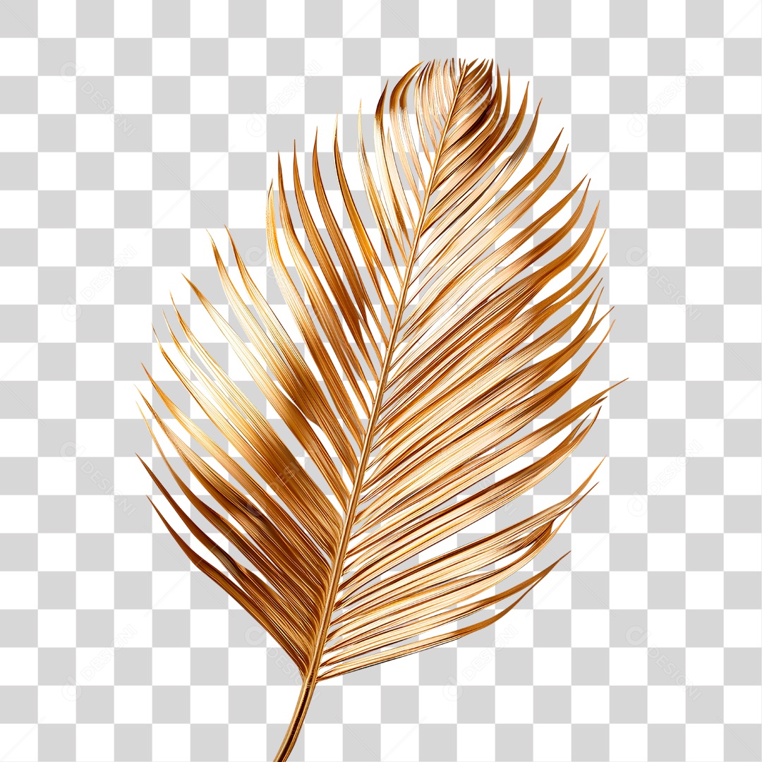 Folha de Dourada PNG Transparente