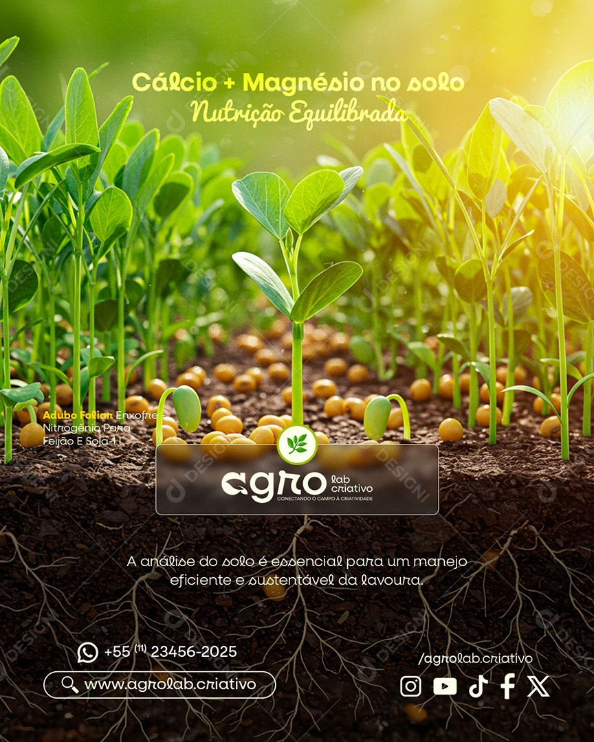 A Analise Do Solo Essencial Para Um Manejo Eficiente Social Media PSD Editável