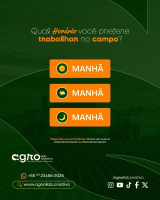 Arquivo