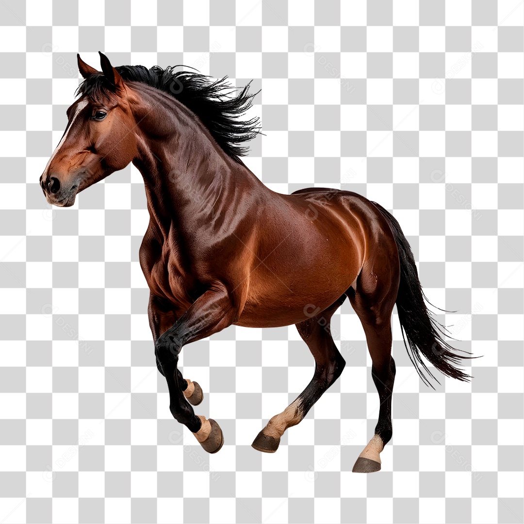 Cavalo Castanho PNG Transparente