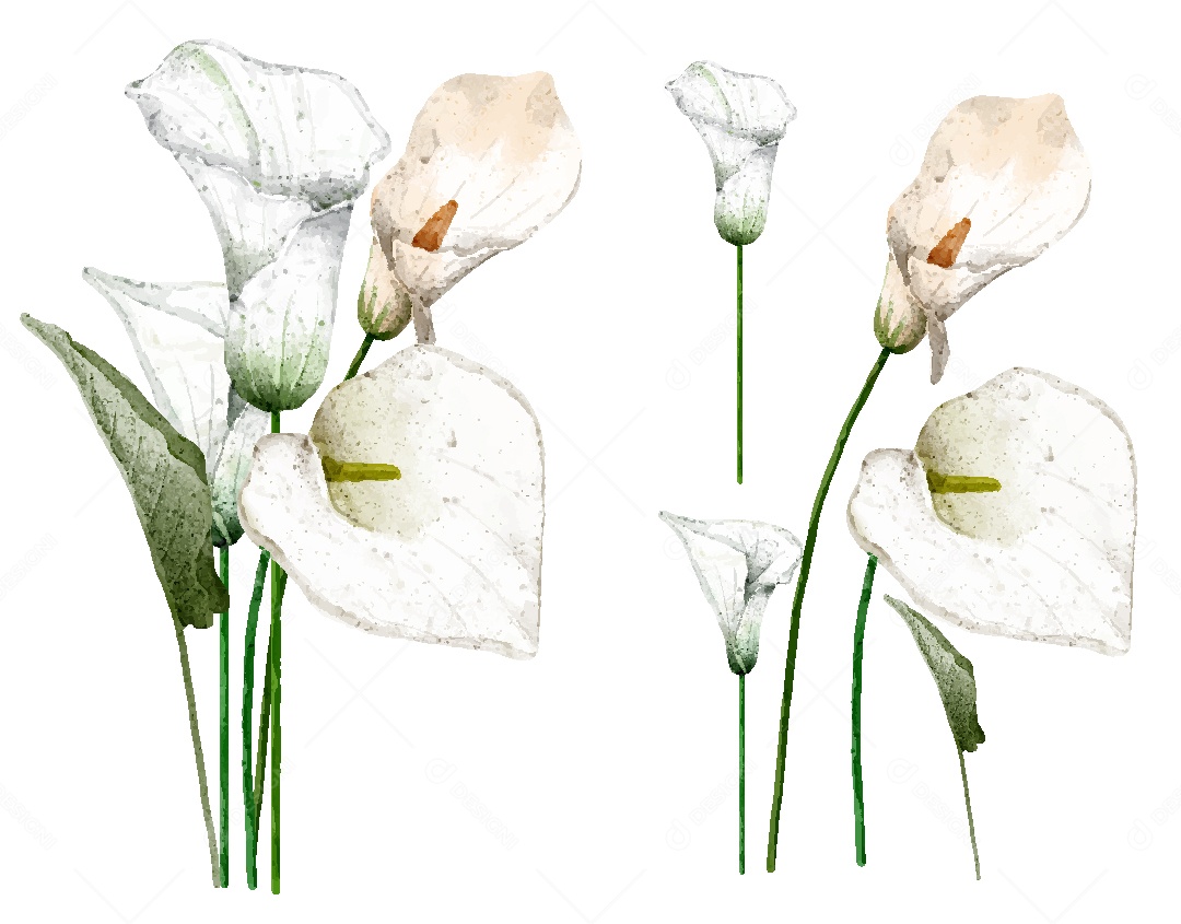 Conjunto de Desenhos de Flores AI