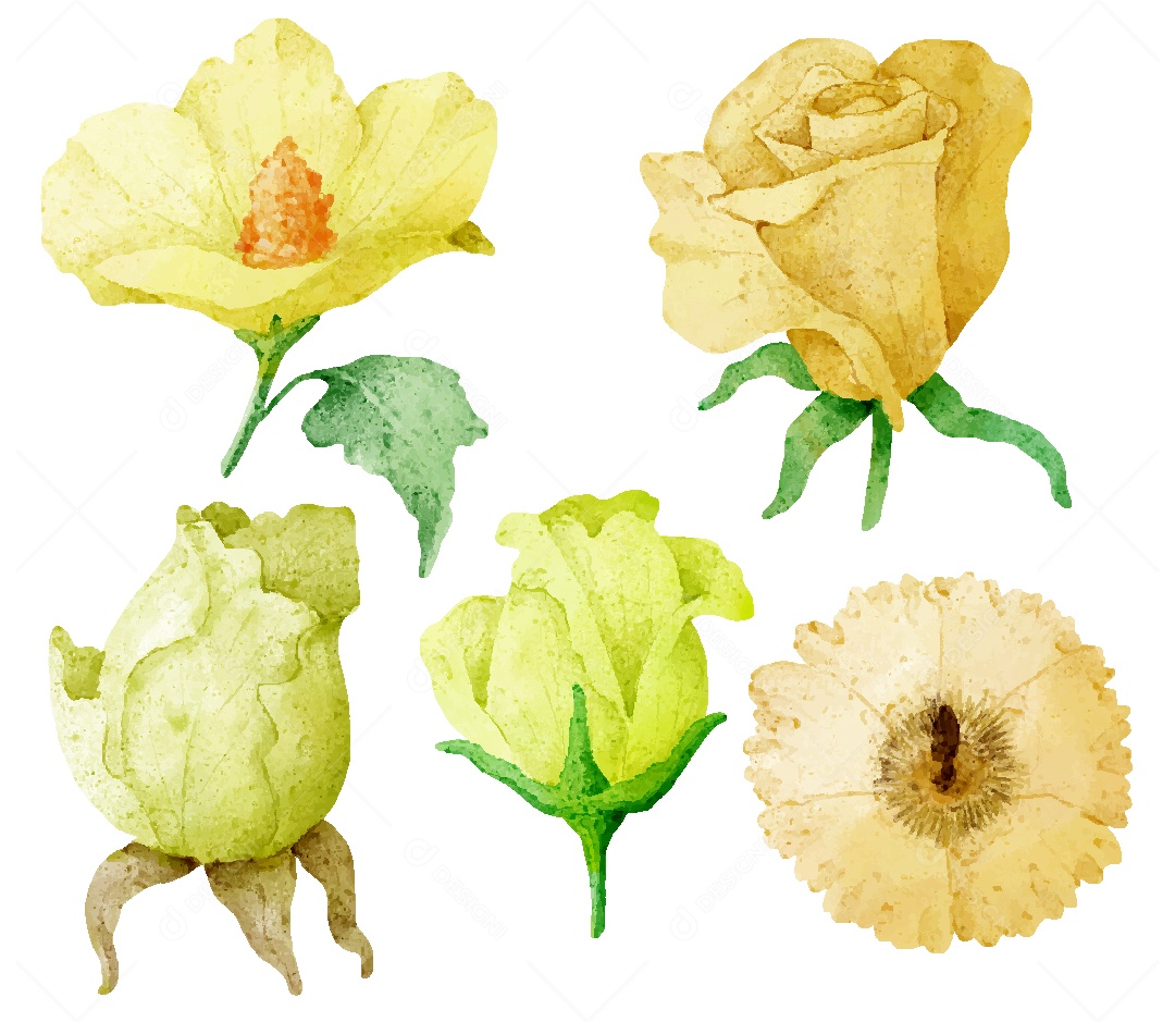 Conjunto de Desenhos de Flores AI