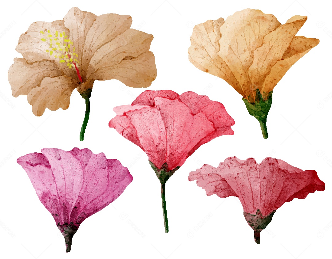 Conjunto de Desenhos de Flores AI