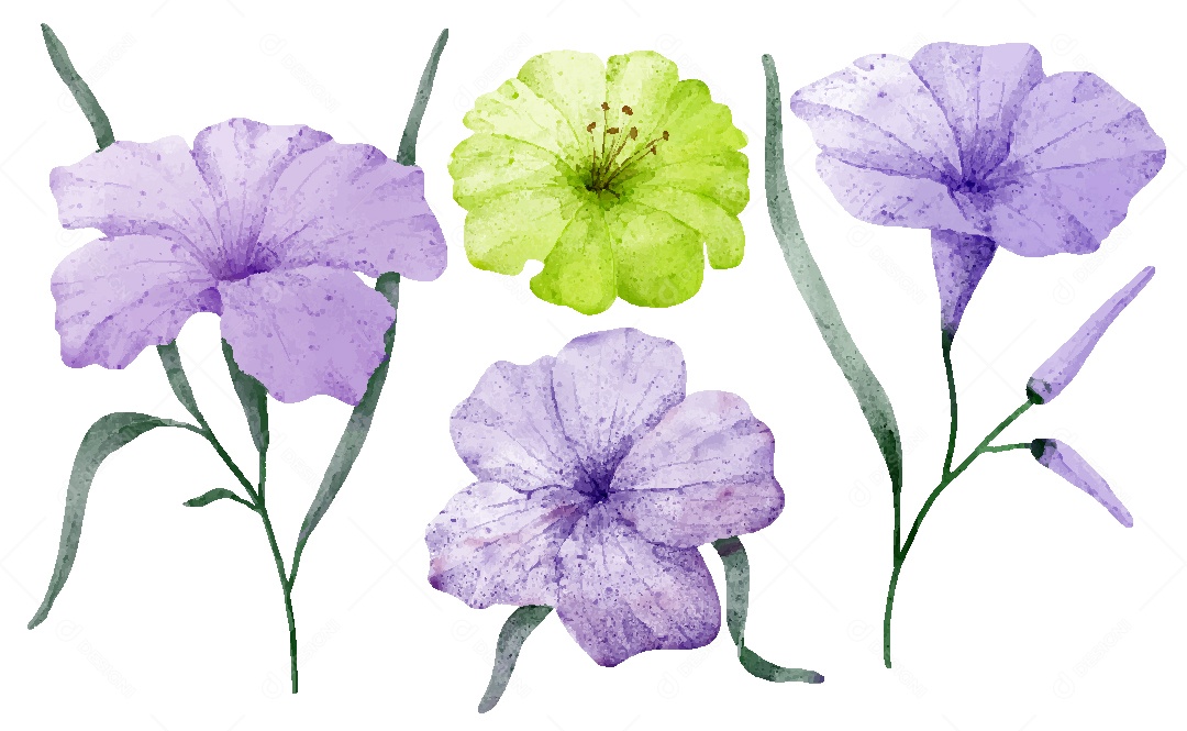 Conjunto de Desenhos de Flores AI