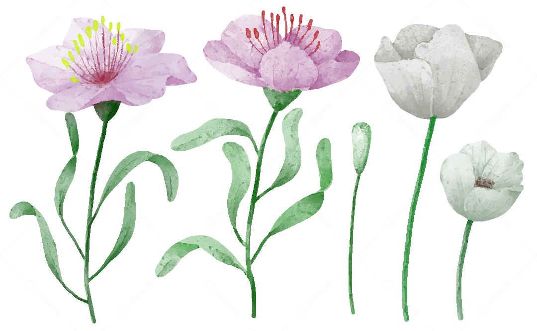 Conjunto de Desenhos de Flores AI