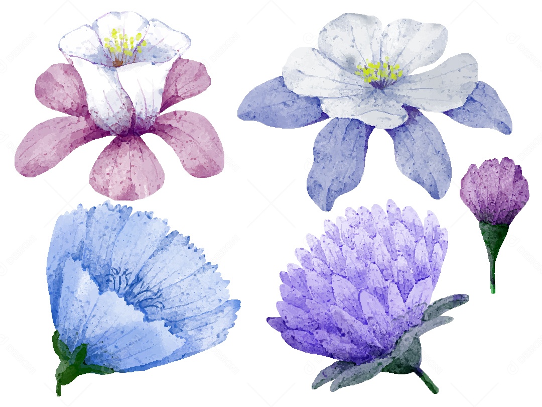 Conjunto de Desenhos de Flores AI