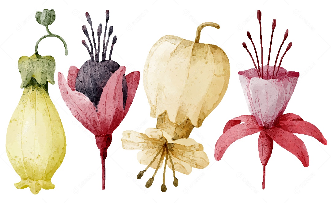 Conjunto de Desenhos de Flores AI