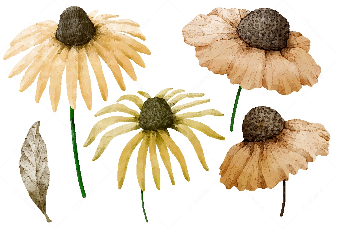 Conjunto de Desenhos de Flores AI