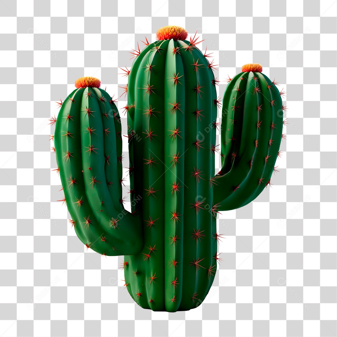 Cacto PNG Transparente
