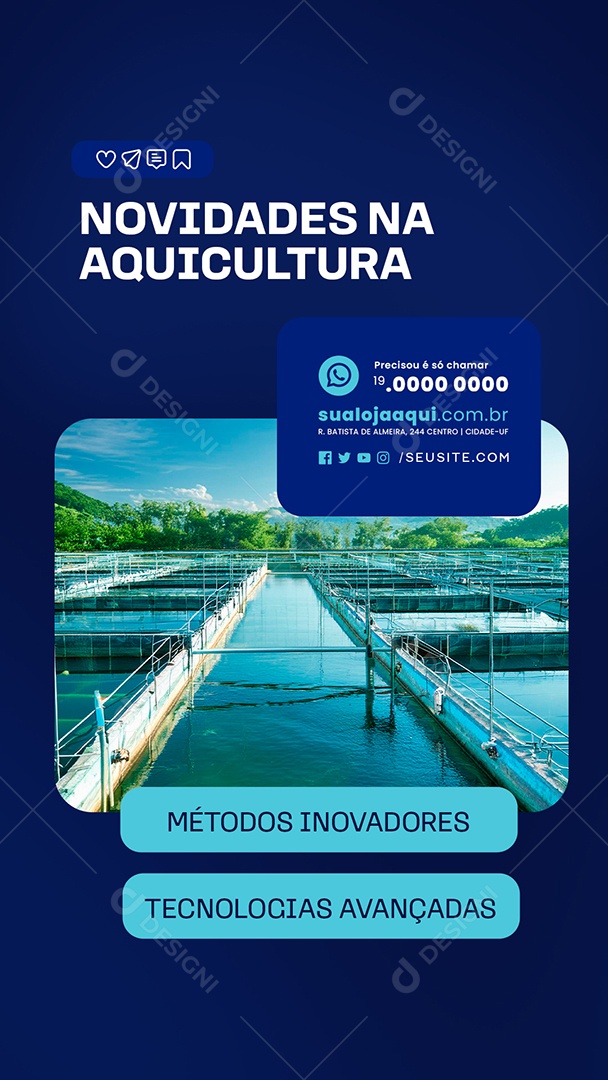 Story Social Media Novidades na Aquicultura PSD Editável