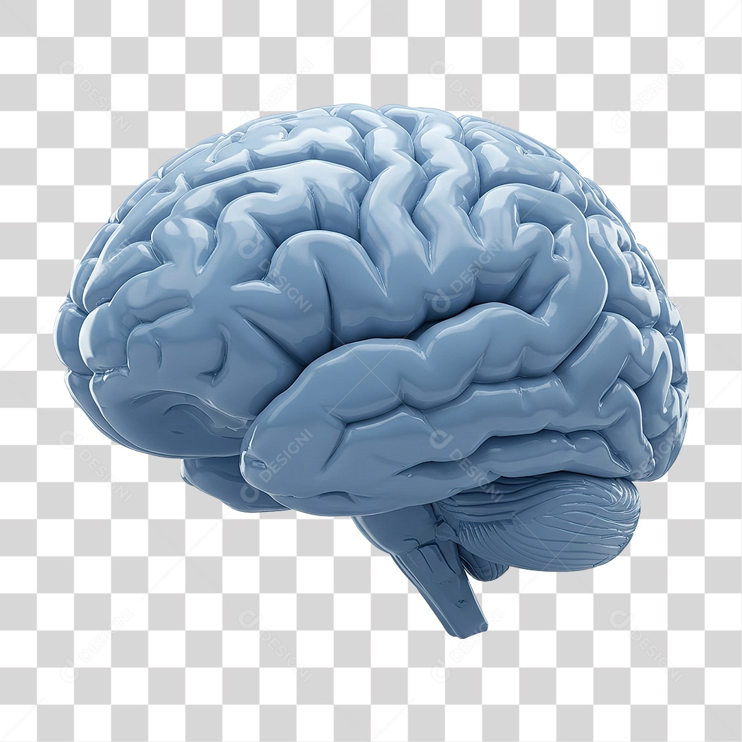 Cérebro Azul Parte do Corpo Humano PNG Transparente