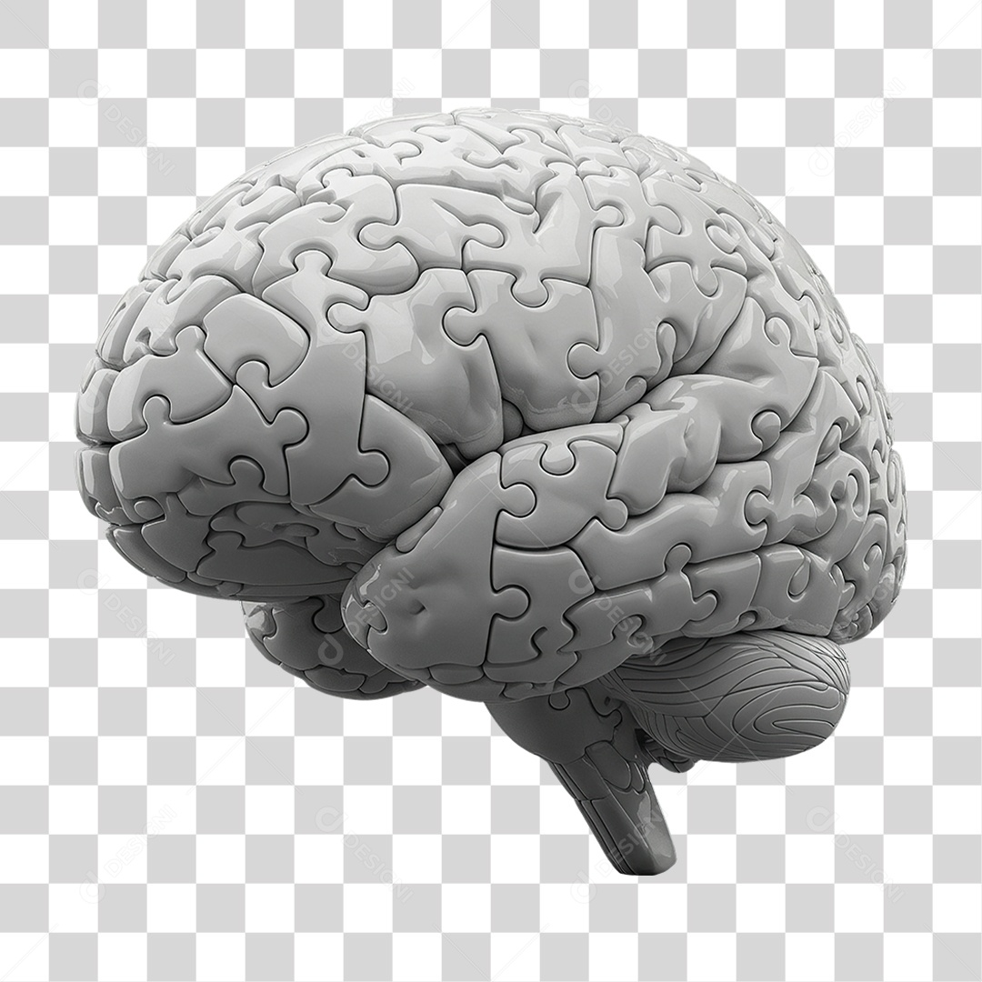 Cérebro Branco Quebra-cabeça PNG Transparente