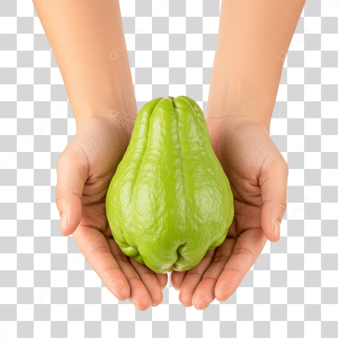 Mãos Segurando Chuchu PNG Transparente