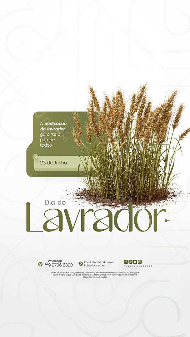 Story Dia Do Lavrador Social Media PSD Editável