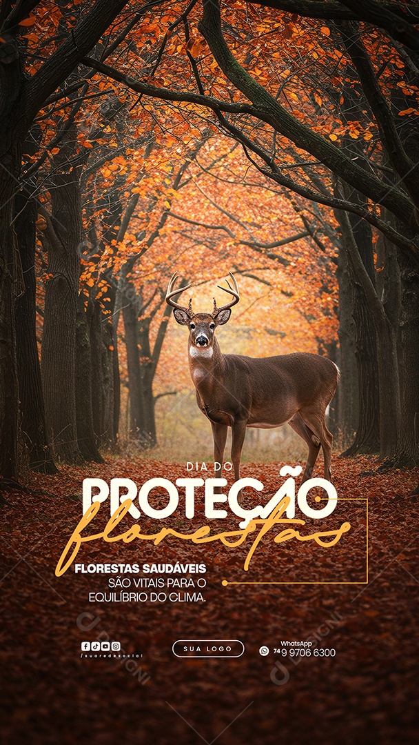 Story Dia da Proteção às Florestas Social Media PSD Editável