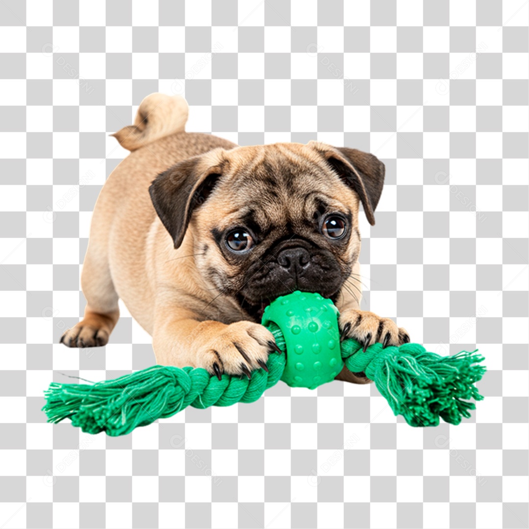 Cachorro Brincando PNG Transparente
