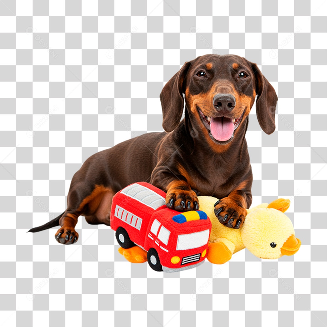 Cachorro Brincando PNG Transparente