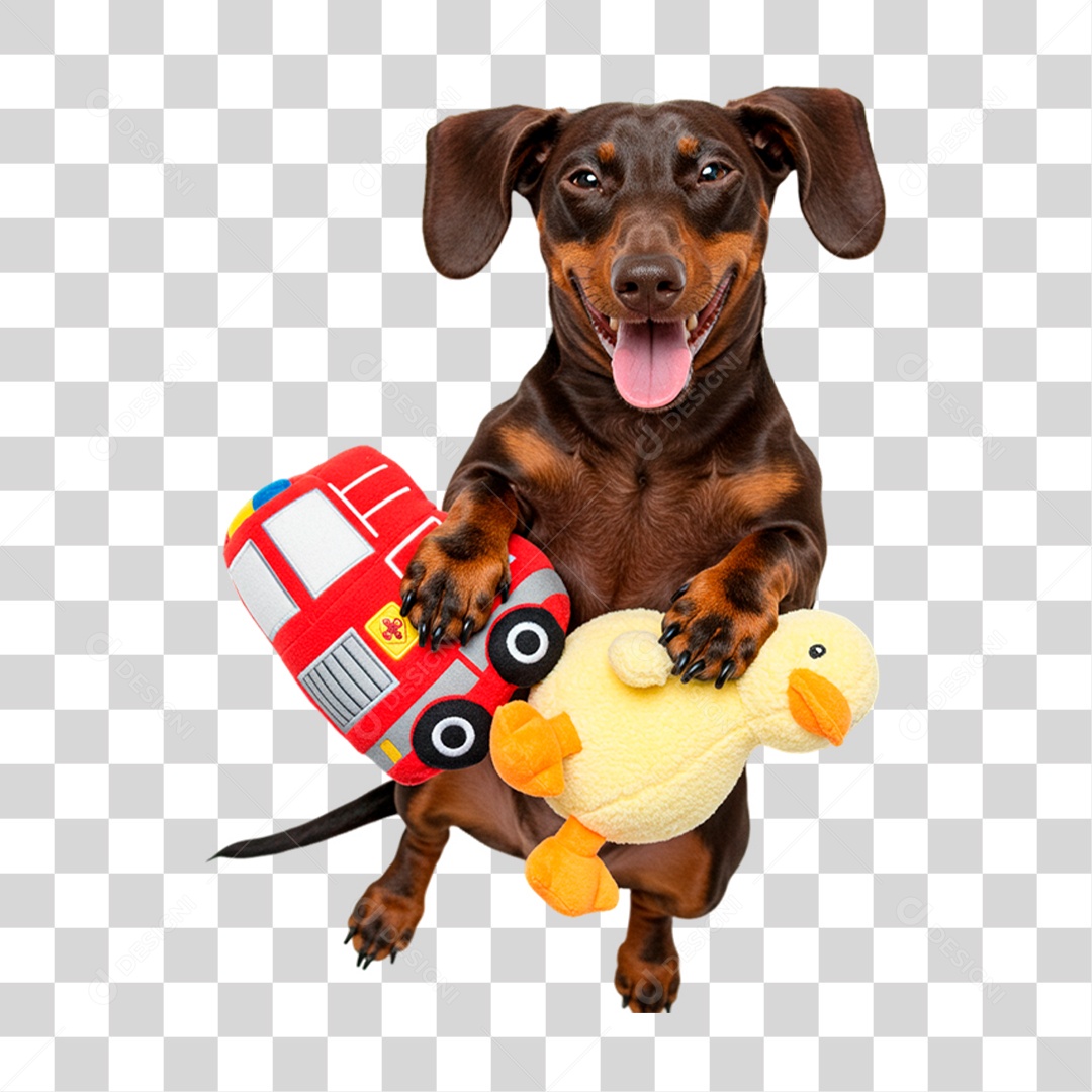 Cachorro Brincando PNG Transparente