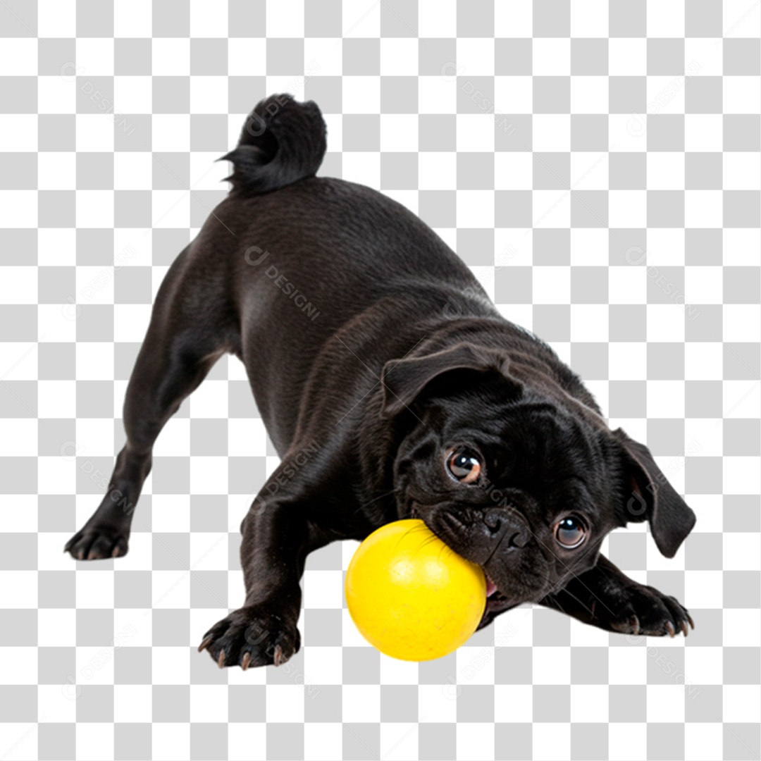 Cachorro Brincando PNG Transparente
